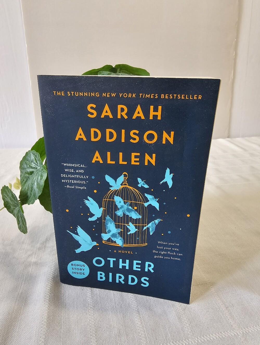 Other Birds By Sarah Addison Allen